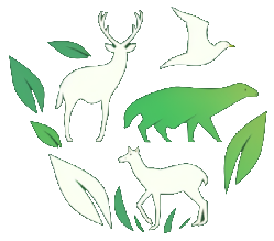 Logo du site